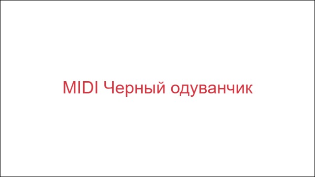 MIDI Черный одуванчик