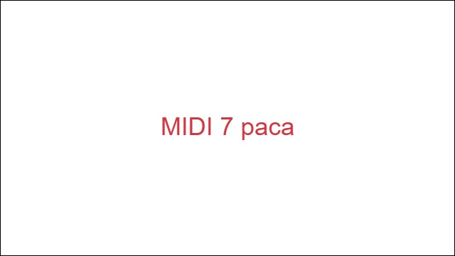 MIDI 7 раса