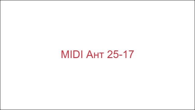 MIDI Ант (25/17)
