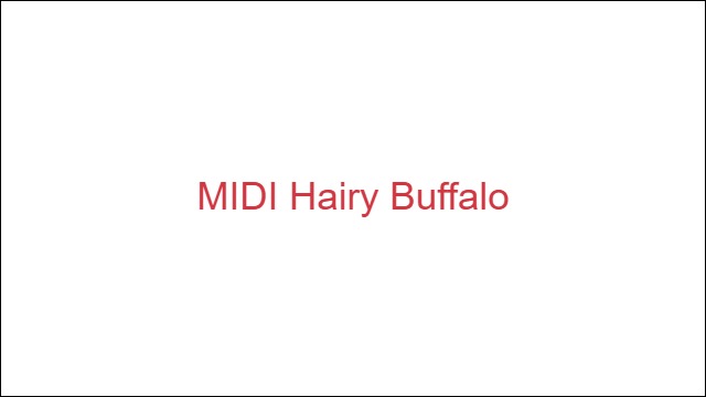 MIDI Hairy Buffalo