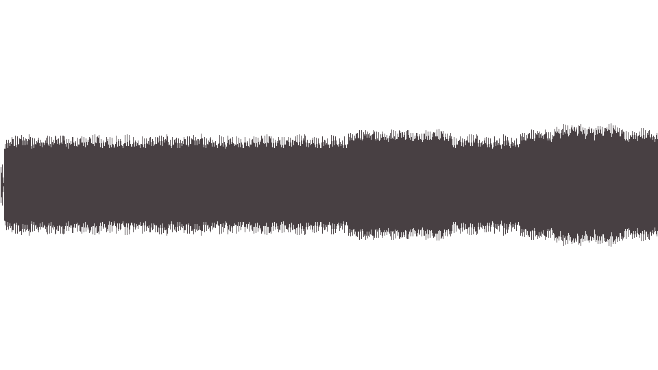 MIDI Пограничный Отряд Гражданской Обороны - На мясокомбинате я работаю свиньёй