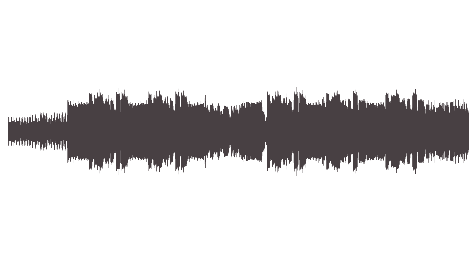 MIDI Animals (The) — House of Rising Sun