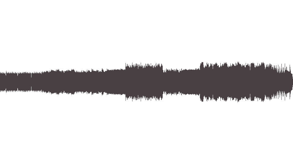 MIDI Animals (The) — House of the Rising Sun 1