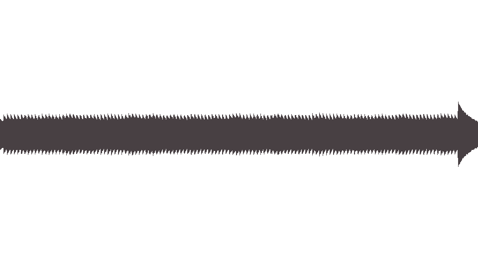 MIDI Animals (The) — House of the Rising Sun (2)