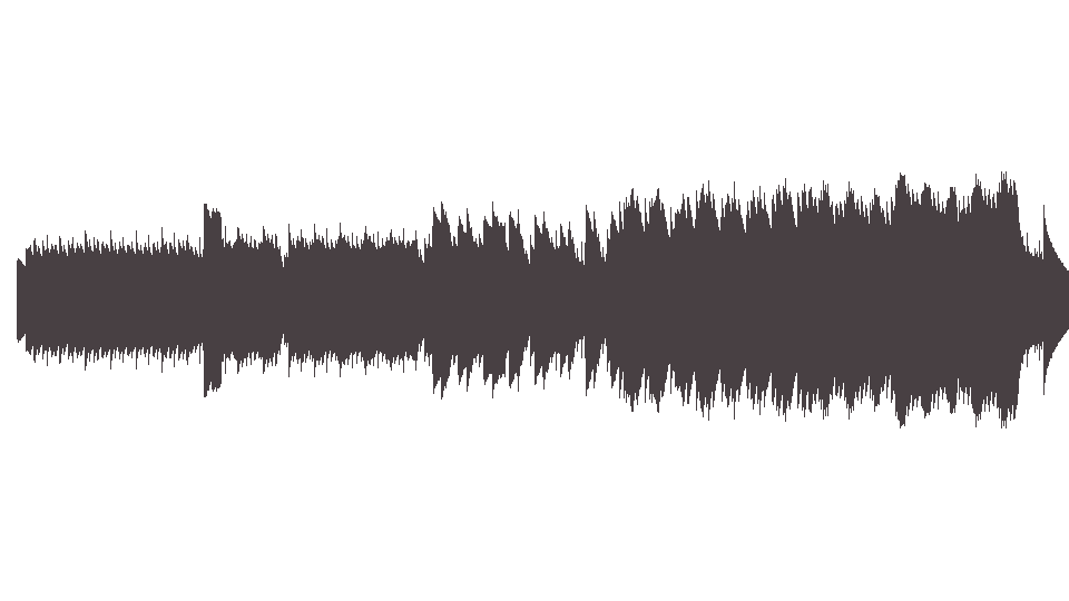 MIDI Animals (The) — House of the Rising Sun (6)