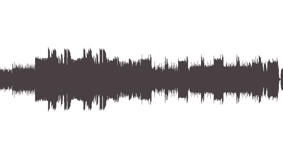 MIDI Animals (The) — House of the Rising Sun (9)