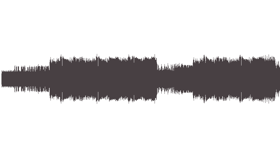 MIDI Animals (The) — House of the Rising Sun C H