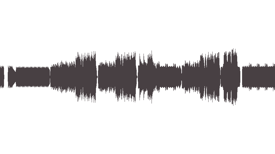 MIDI Animals (The) — San Franciscan Nights
