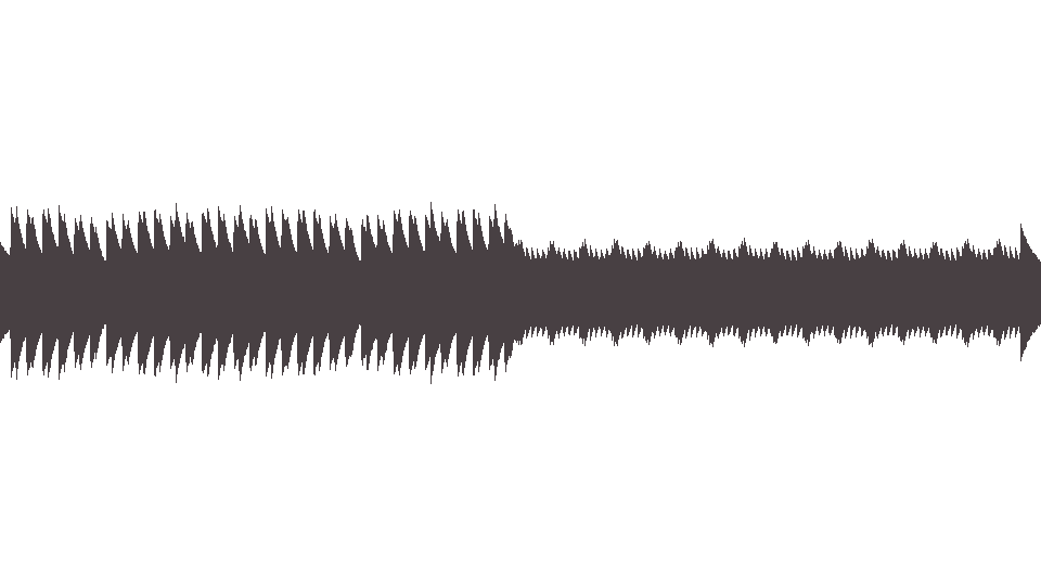 MIDI Animals (The) — The House of the Rising Sun
