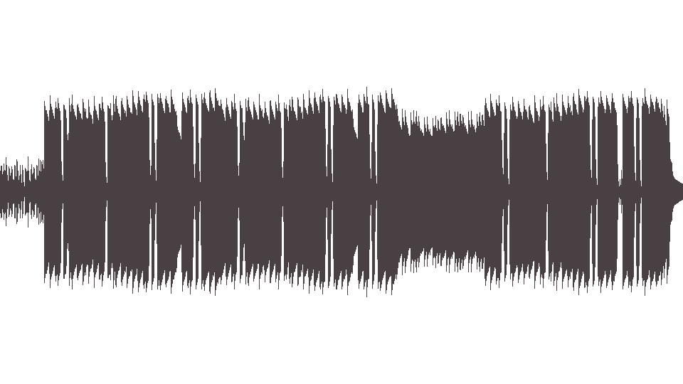 MIDI American Band (The) — Punkrocker