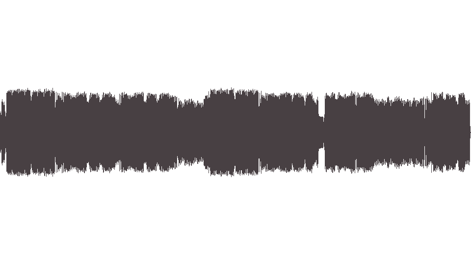MIDI Blackberriescom (The) — Murder of Society