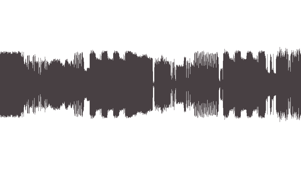 MIDI Color Morale (The) — Hole Hearted