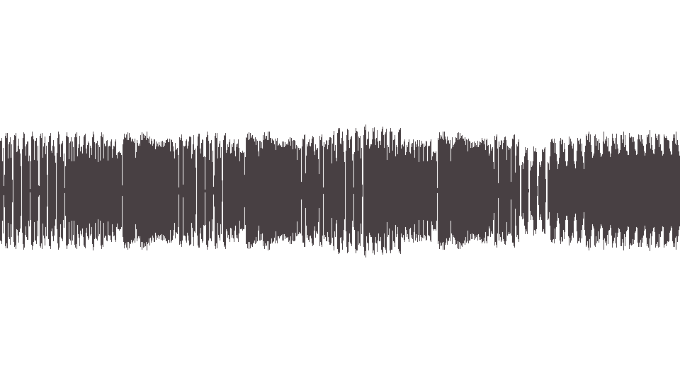 MIDI Darkness (The) — Everybody Have a Good Time