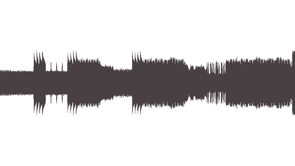 MIDI Die Toten Hosen — Pushed Again (2)