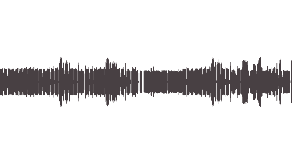 MIDI Doors (The) — Back Door Man