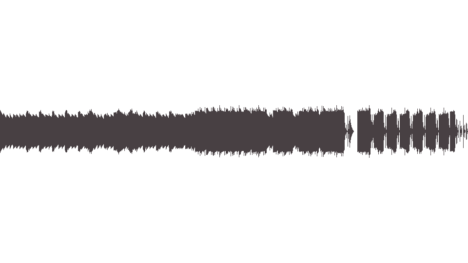 MIDI Doors (The) — The Severed Garden