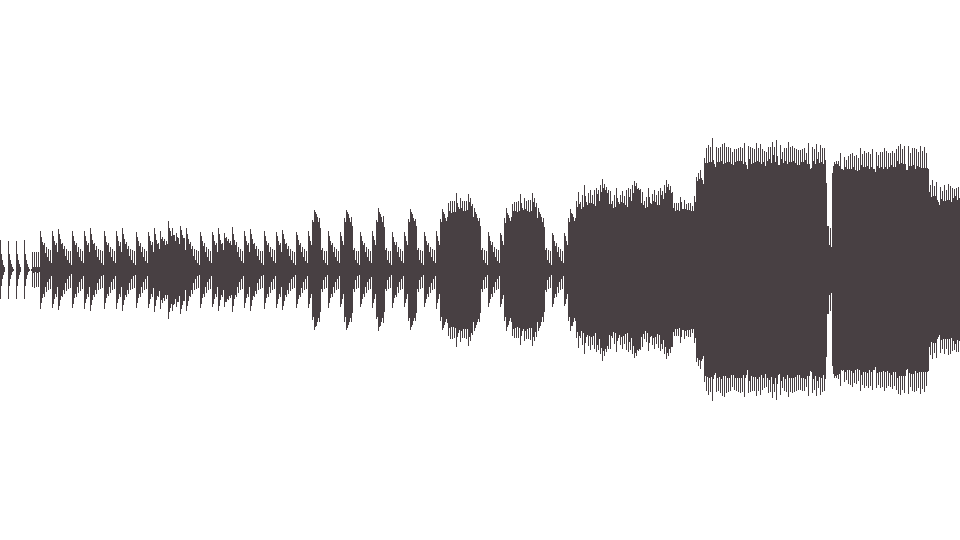 MIDI DICK'ие Леприки (DЛ) — Scarab