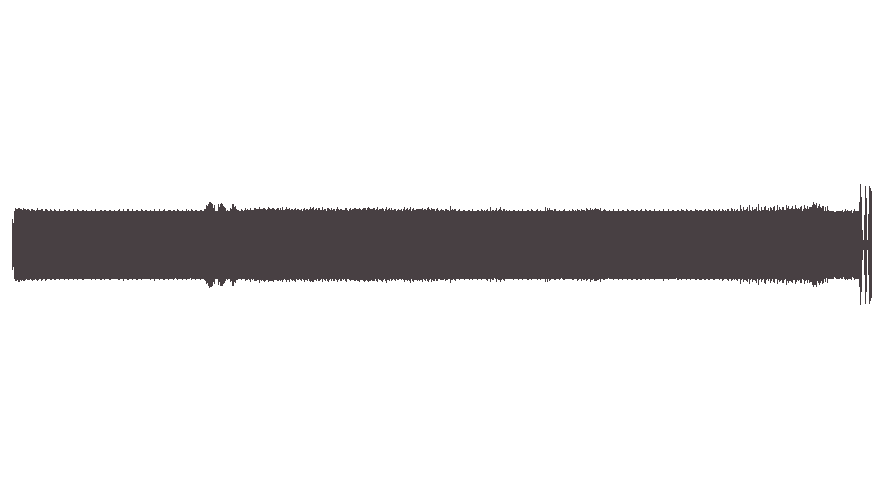 MIDI Extreme — Flight of the Wounded Bumblebee (2)