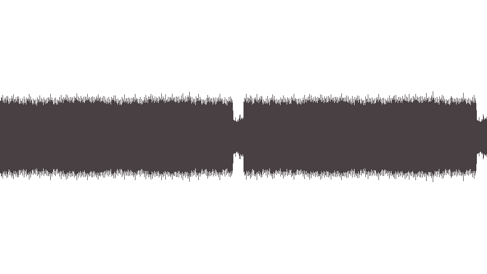 MIDI Furiscos (The) — She is a Vampire