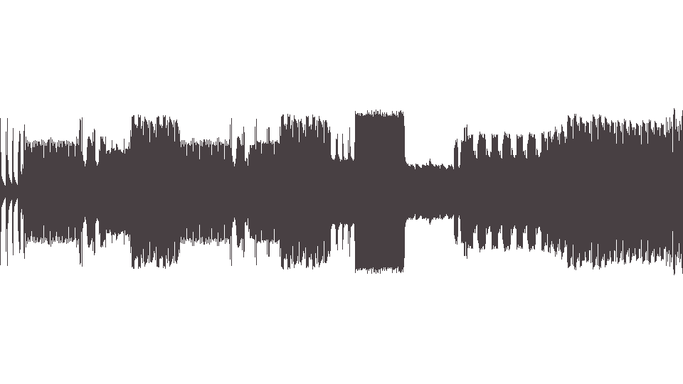 MIDI Gazette (The) — Before I Decay