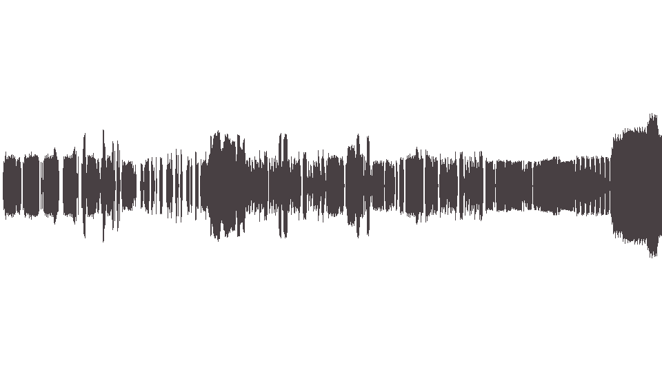 MIDI Johnson Eric — Trademark (3)