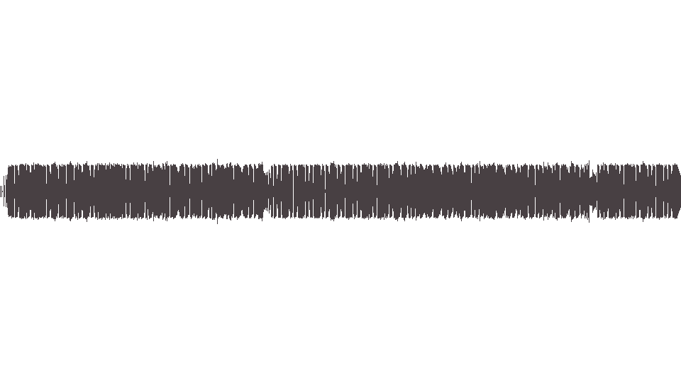 MIDI Miller Steve — The Joker