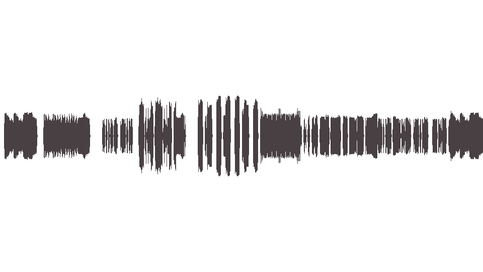 MIDI Morse Steve — Collateral Damage