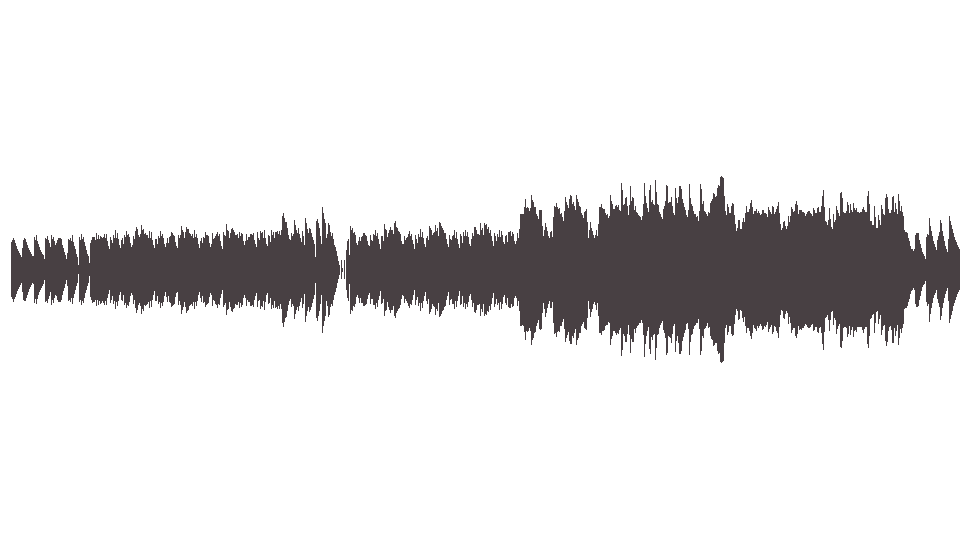 MIDI Multipass — Snejnaya