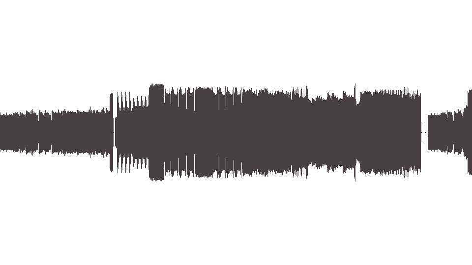 MIDI Massacration — The Bull
