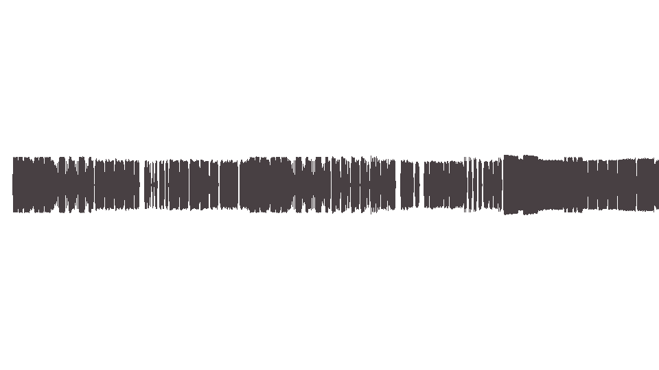 MIDI Nobody One — The Duck Song (2)
