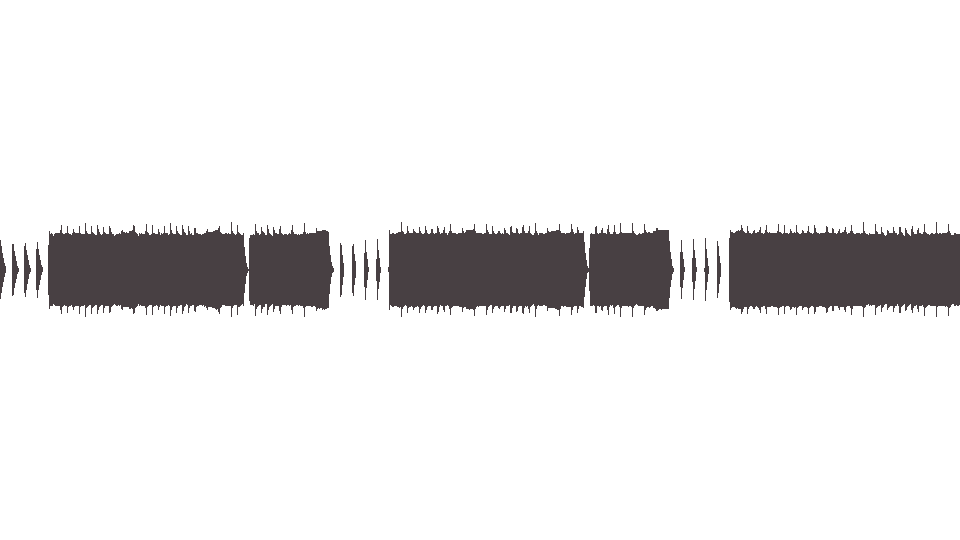 MIDI Offspring (The) — Intermission