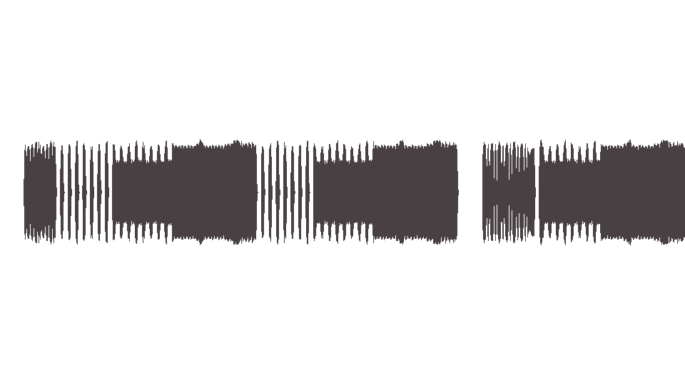 MIDI Offspring (The) — Session