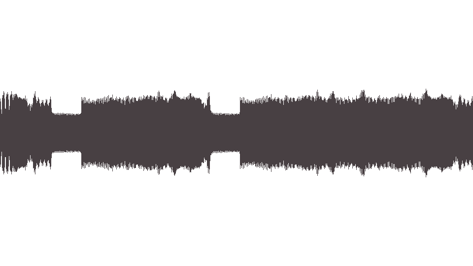 MIDI Offspring (The) — The Meaning of Life