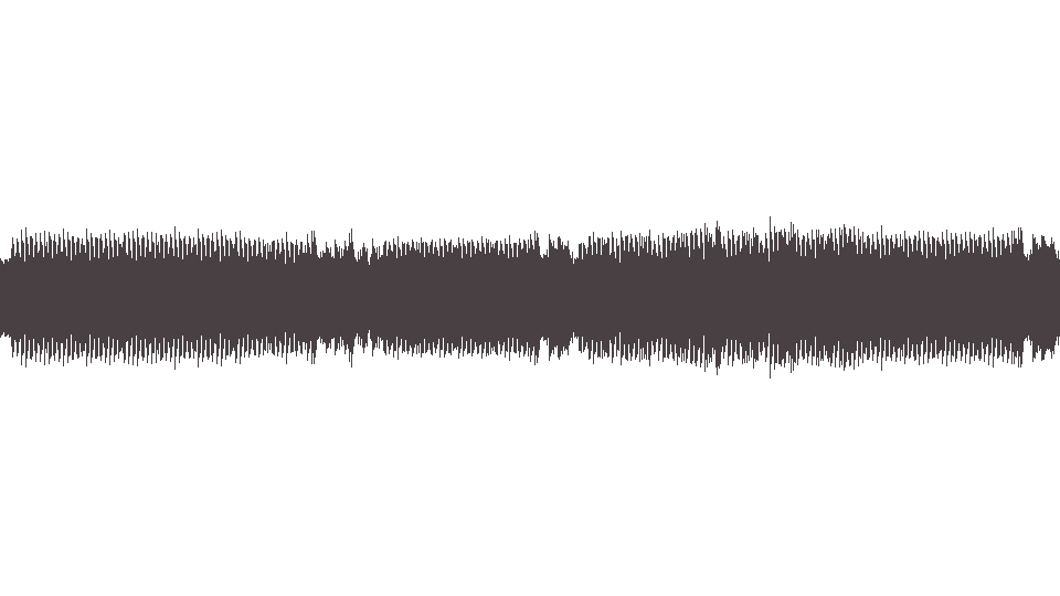 MIDI Patricio Rey y sus Redonditos de Ricota — La Bestia Pop