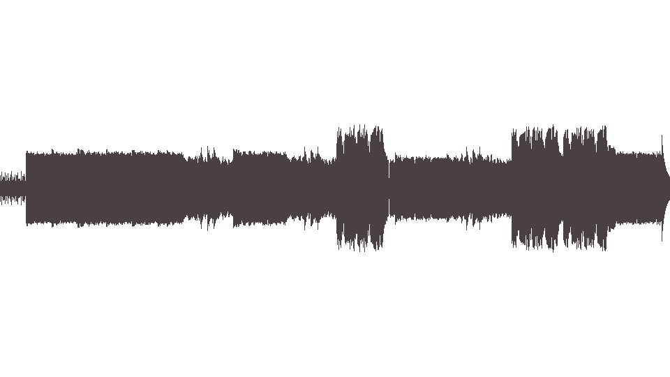 MIDI Pillows (The) — Funny Bunny