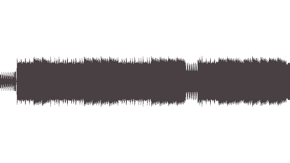 MIDI Ramones (The) — Chasing the Night