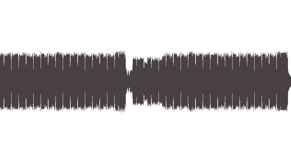 MIDI Ramones (The) — Got a Lot to Say