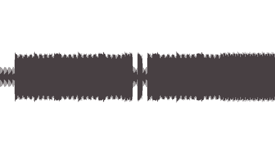 MIDI Ramones (The) — Pinhead