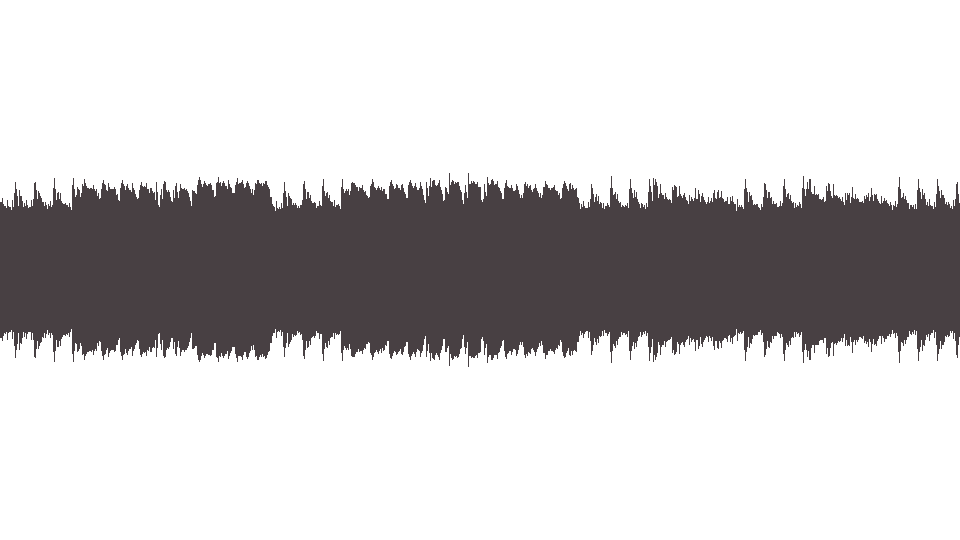 MIDI Ramones (The) — Wart Hog