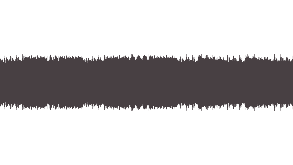 MIDI Ramones (The) — Wart Hog (3)