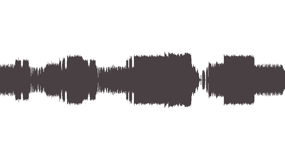 MIDI Rasmus (The) — Bulletlive