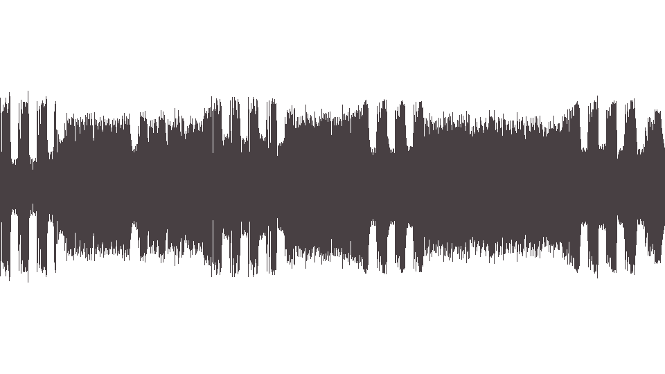 MIDI Shadows (The) — Shotgun