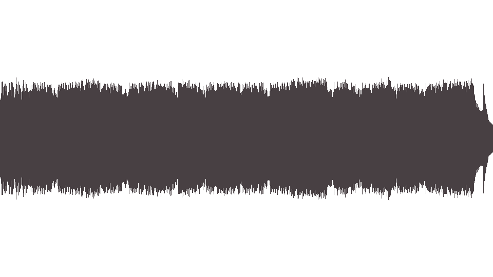 MIDI Shadows (The) — The Lonely Bull