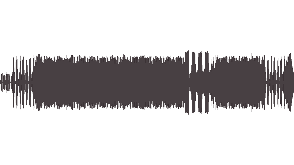MIDI Shadows (The) — The Rise And Fall of Flingel Bunt