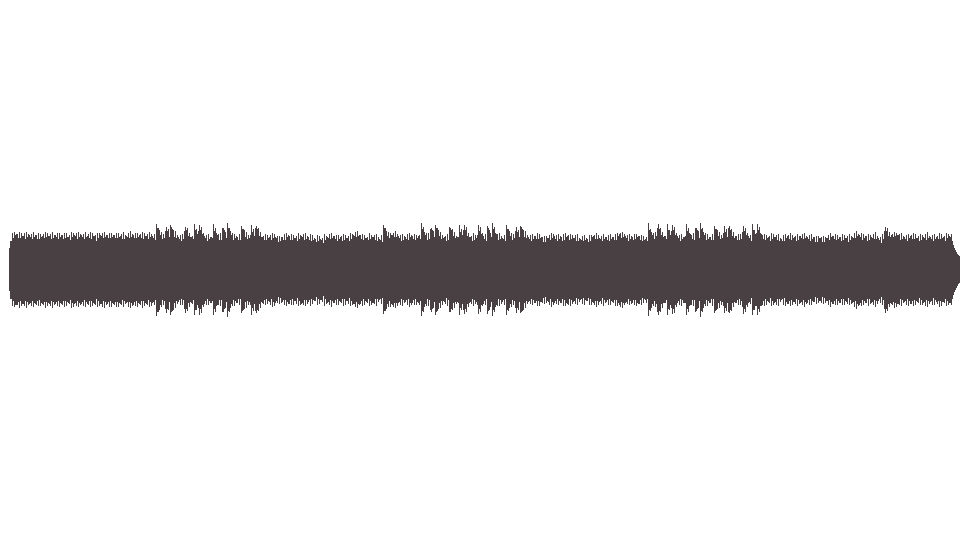 MIDI Stevens Cat — Into White