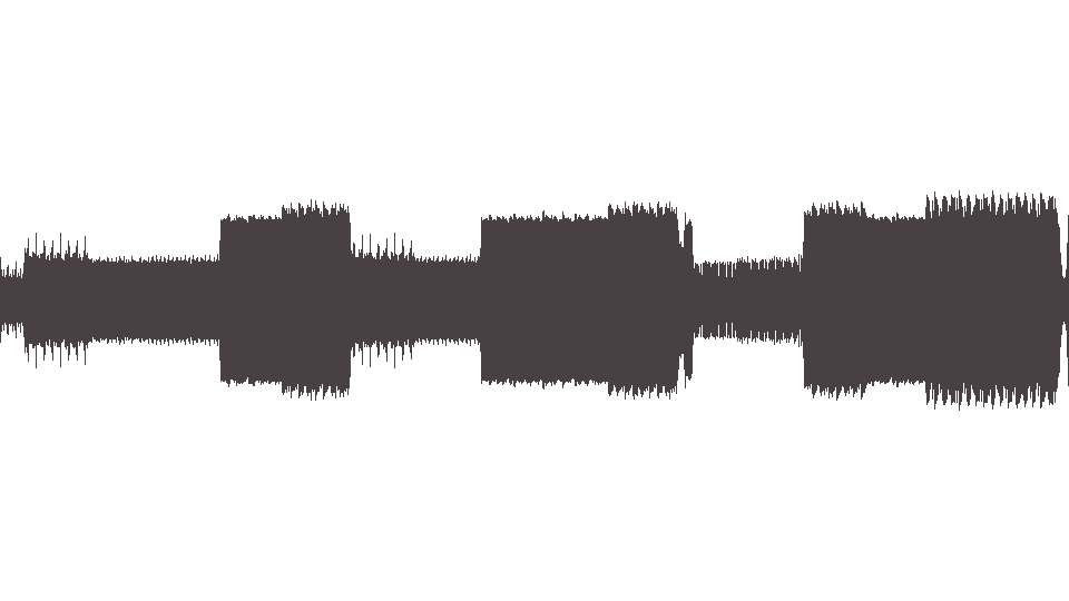 MIDI Strokes (The) — Fast Animals (2)