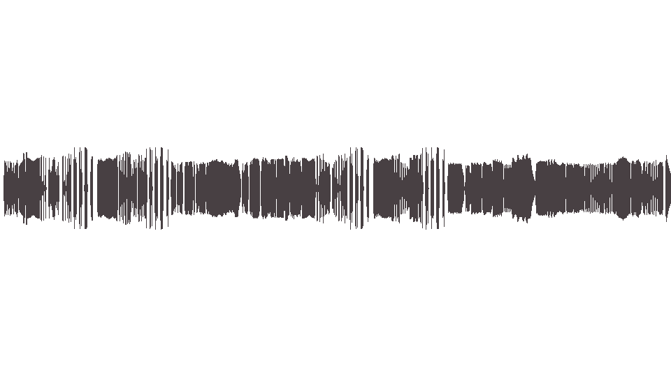 MIDI Stray Cats — Double Talkin Baby