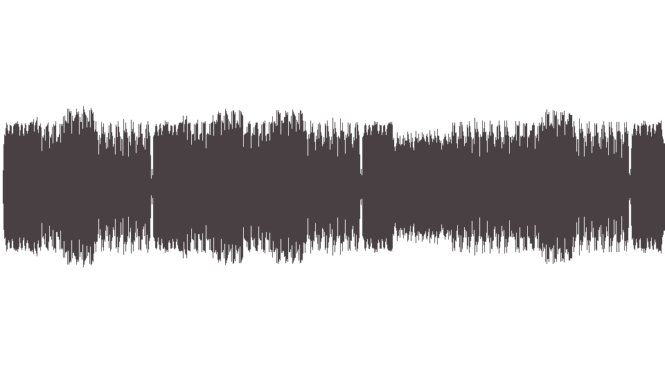 MIDI Transplants (The) — D.J. D.J.