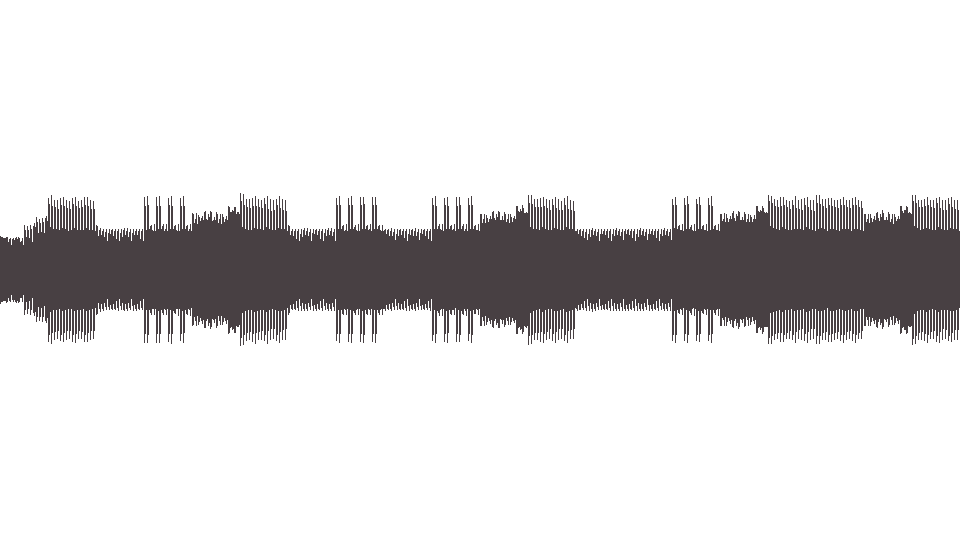MIDI Transplants (The) — Diamonds and Guns (2)