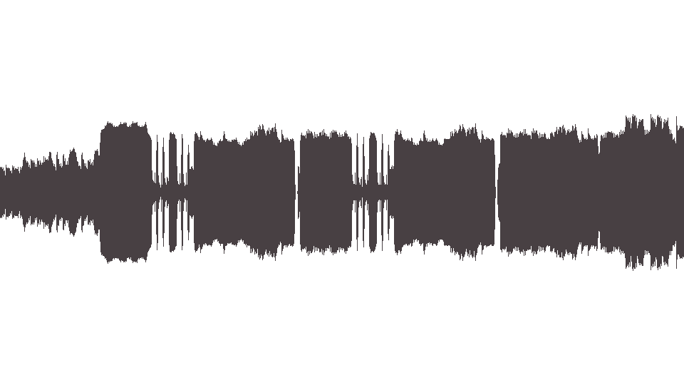 MIDI Vandals (The) — Jackass
